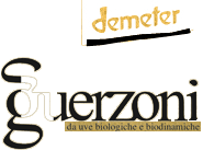 guerzoni