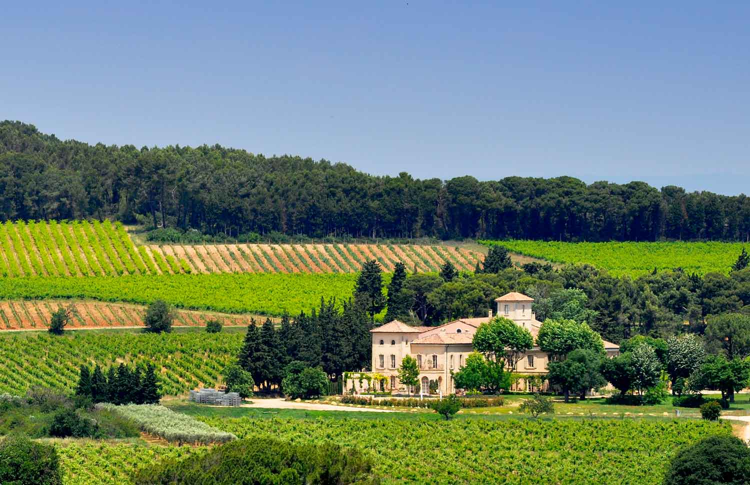 Chateau Gigognan Chateau Gigognan