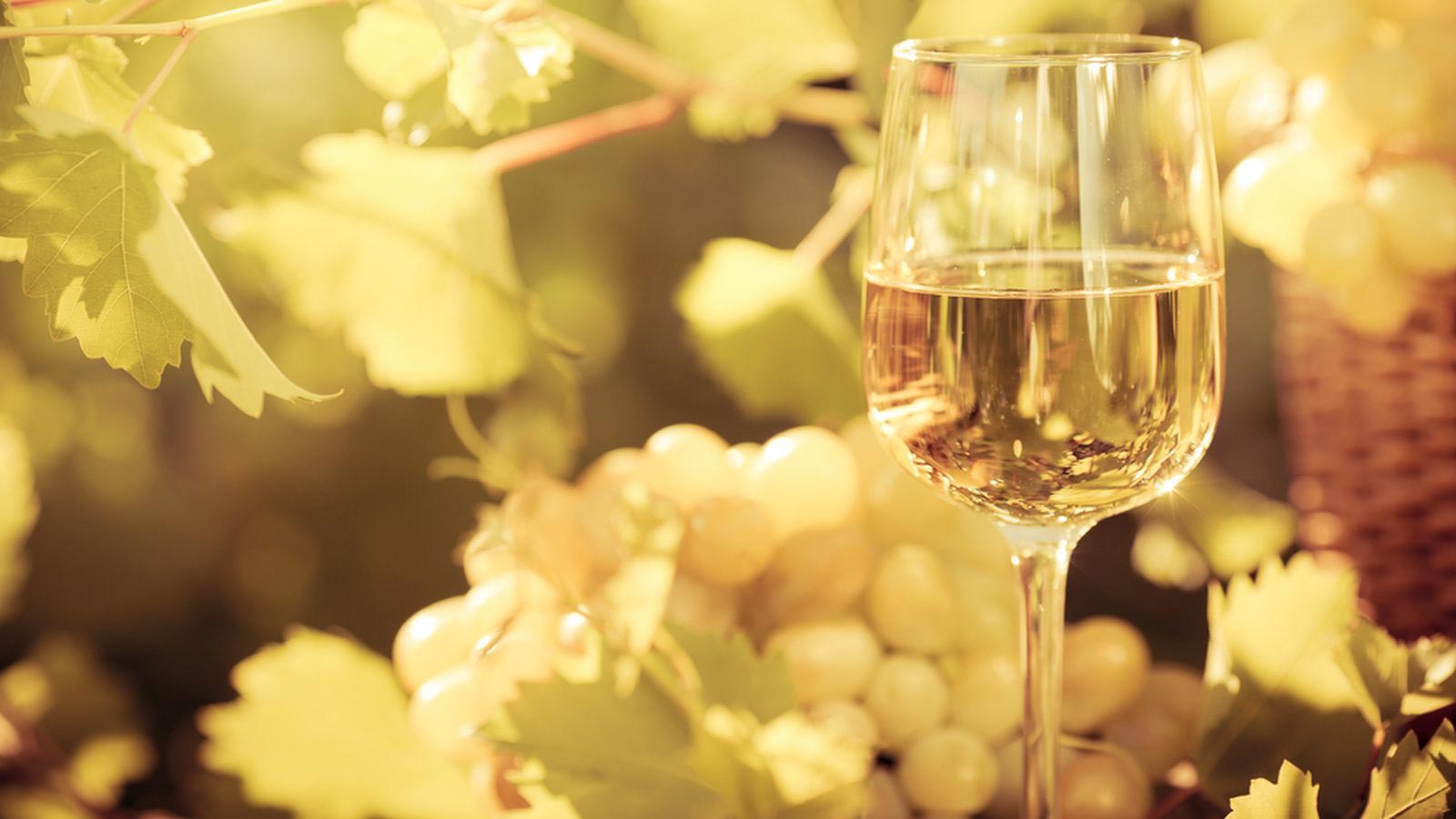 routes des vins alsace