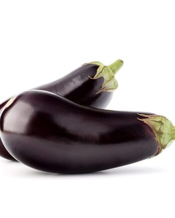 aubergine bio