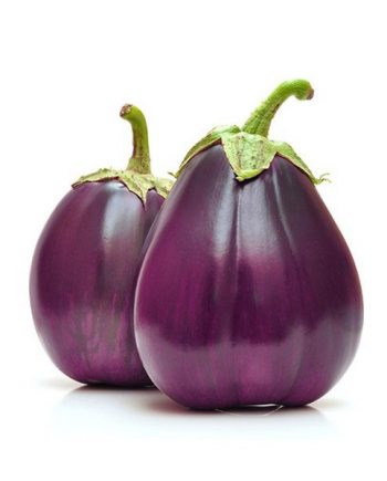 aubergine ronde de valence bio