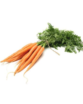 carottes botte de carottes bio