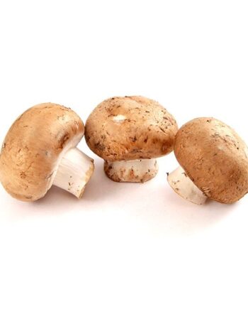 champignon de paris brun bio