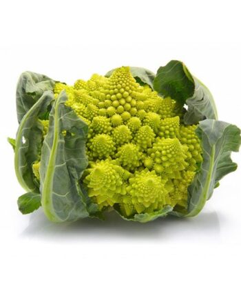 Chou romanesco bio
