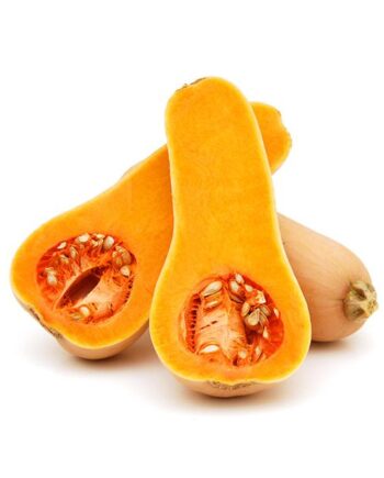 courge butternut bio
