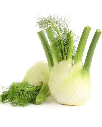 fenouil bio