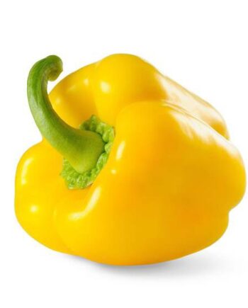 poivron jaune bio