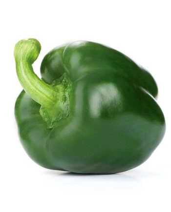 poivron vert bio