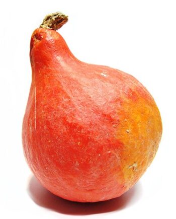 potimarron bio