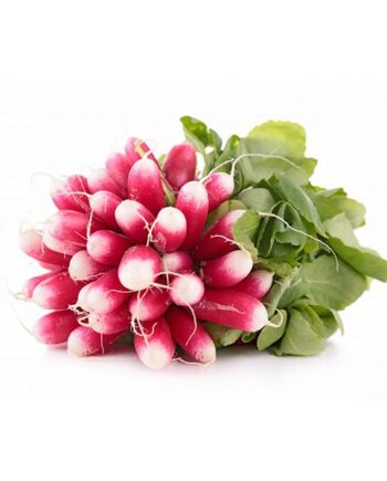 botte de radis rose botte bio