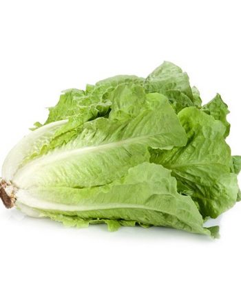 salade romaine bio