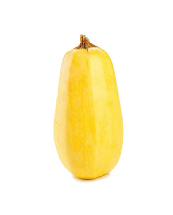 courge spaghetti bio