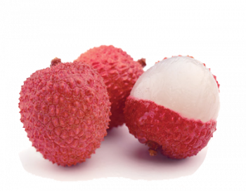 Litchi bio