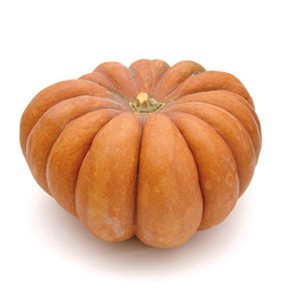 courge potiron courge potiron