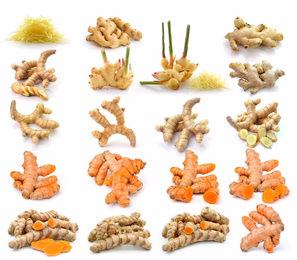 bienfaits du curcuma frais bienfaits du curcuma frais