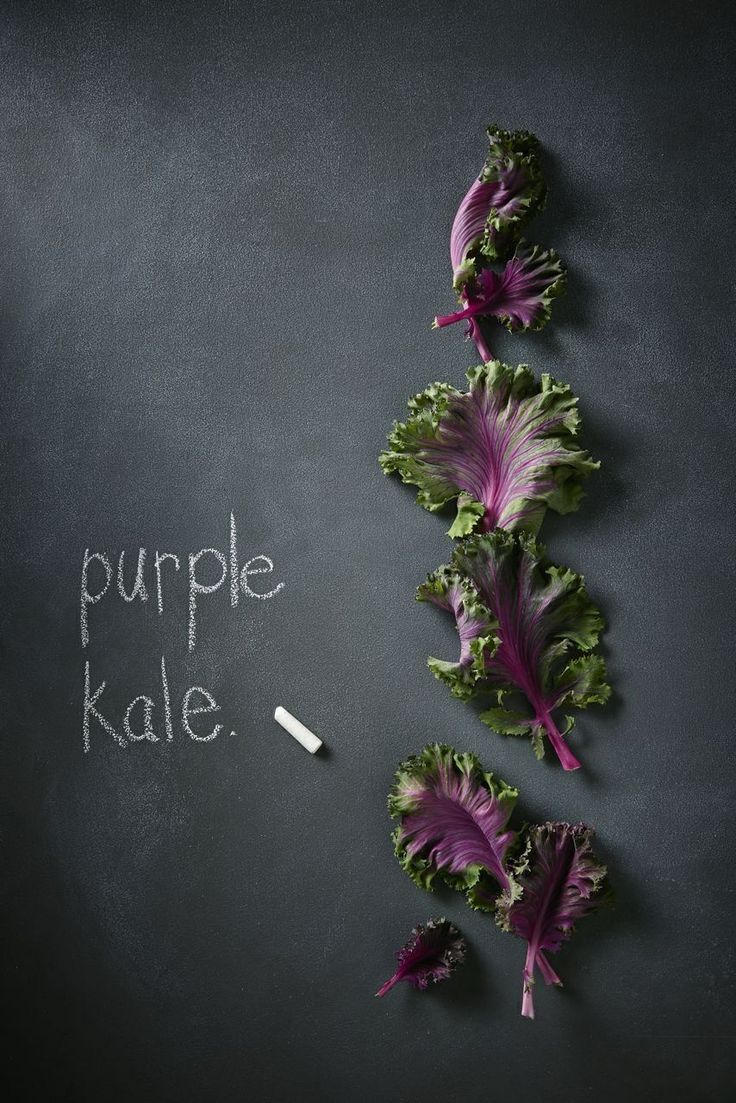 chou kale chou kale