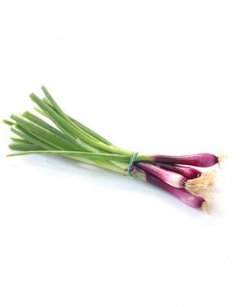 Cebette rouge bio