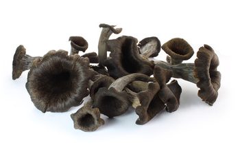 Trompetes de la mort