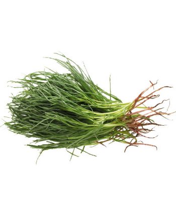 agretti bio boote agretti agretto
