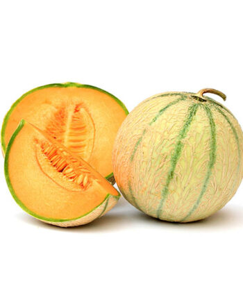 melon charentais bio panier bio
