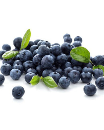 myrtilles bio myrtille bio
