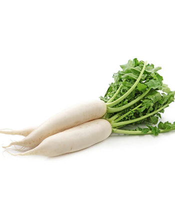 radis blanc bio daikon bio