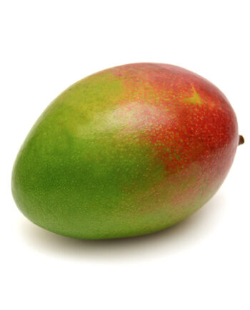 mangue bio