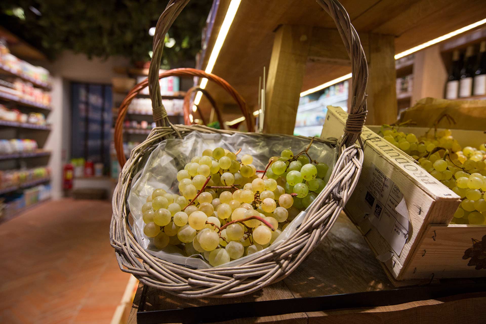 Magasin bio paris terra bacchus al&eacute;sia