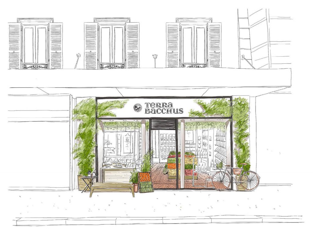 terra bacchus epicerie fine paris magasin bio