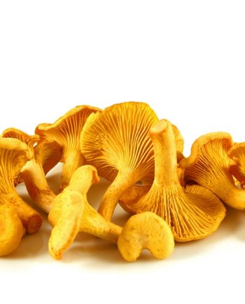 Girolles