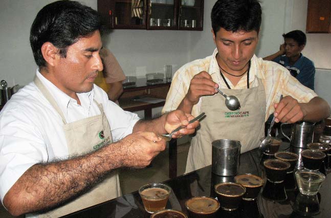 café pérou esperanza café bio café pérou esperanza café bio