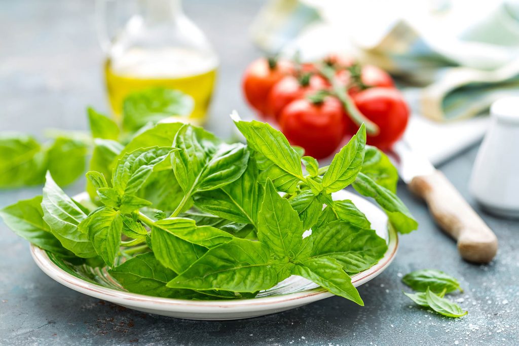 epicerie fine en ligne meilleures herbes aromatiques basilic epicerie fine en ligne meilleures herbes aromatiques basilic