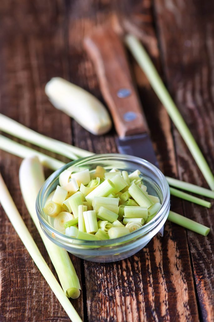 meilleures herbes aromatiques citronnelle meilleures herbes aromatiques citronnelle