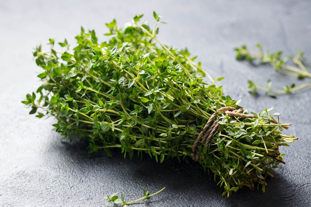 thym meilleures herbes aromatiques thym