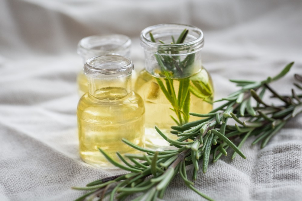romarin meilleures herbes aromatiques romarin