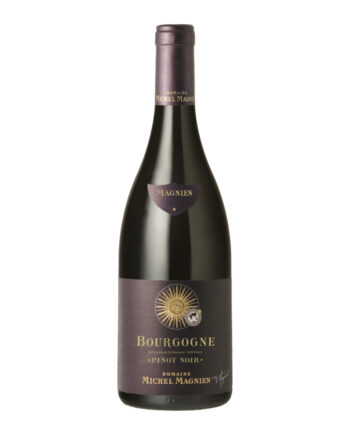 bourgogne pinot noir michel magnien biodynamie