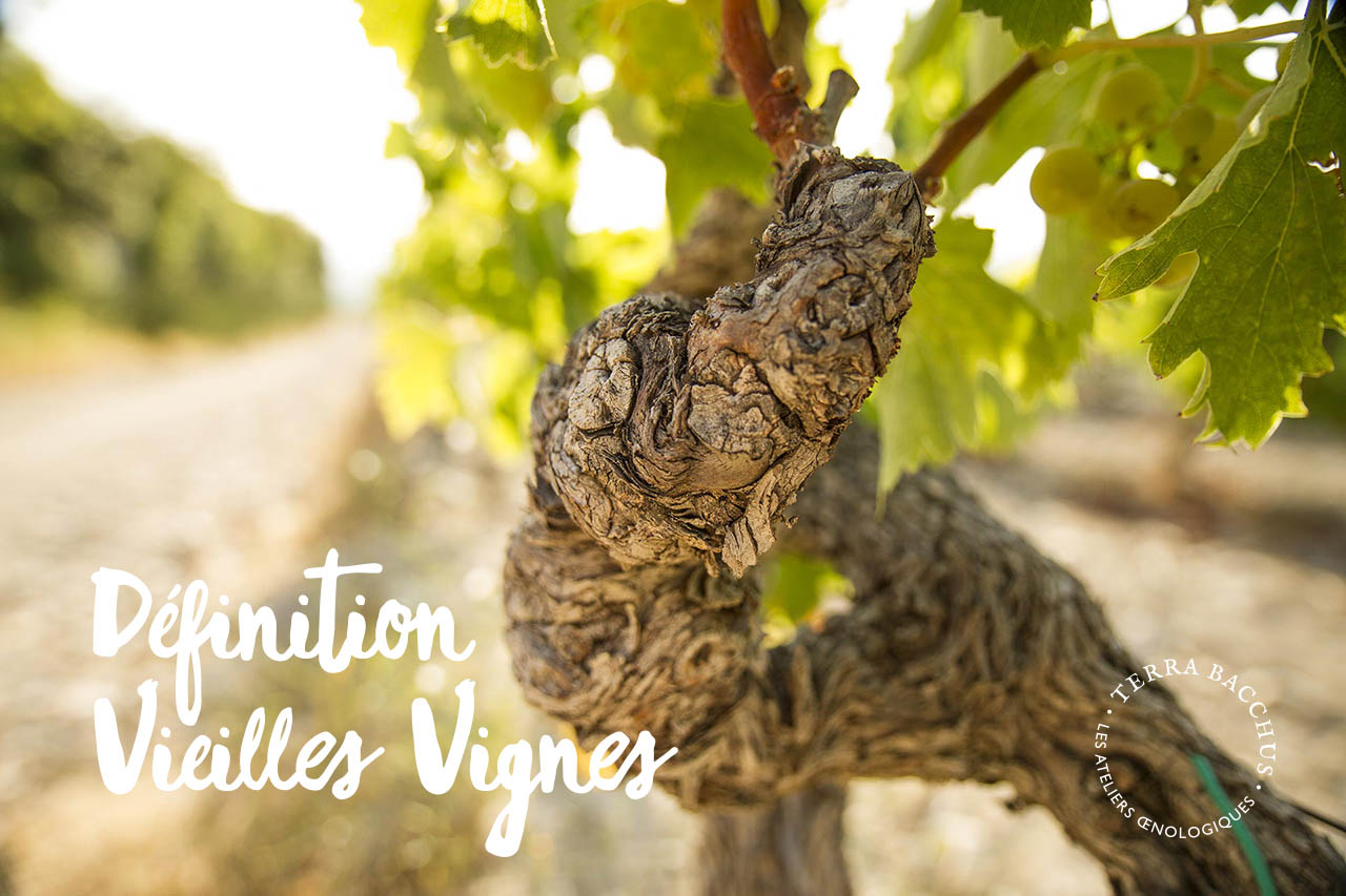 Publication Ateliers Oenologiques, Les Vieilles Vignes